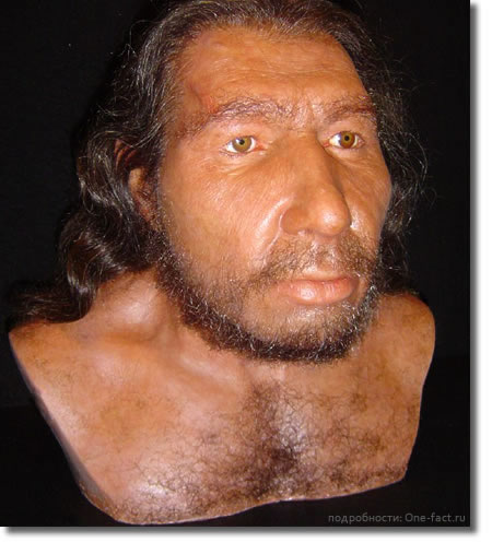Реконструкция неандертальского мужчины