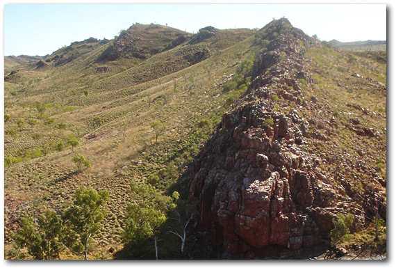 Отложения песчаника в Стрелли Пул (Пилбара), штат Восточная Австралия, где были найдены самые древние окаменелости на Земле.