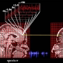 Процесс понимания речи прямо зависит от синхронизации мозгов собеседников в процессе общения